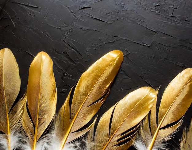 Photo golden feathers on a black background