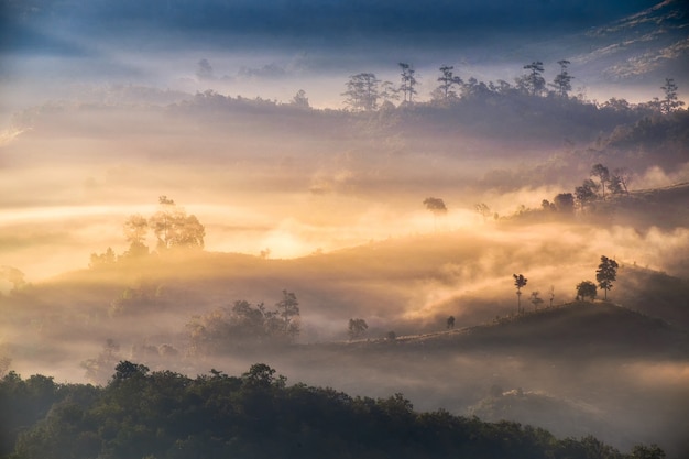 Golden foggy sunshine on hill in valley