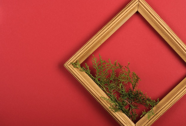 Photo golden frame with christmas tree branch on red background