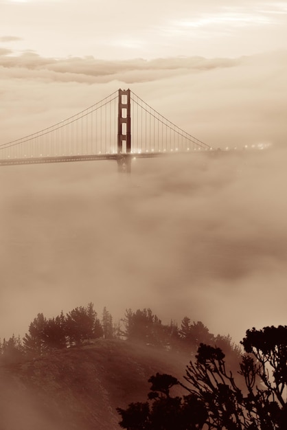 Photo golden gate bridge and fog in san francisco viewed from mountain top