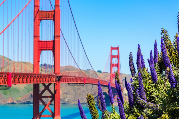 Golden gate bridge San Francisco purpere bloemen Californië