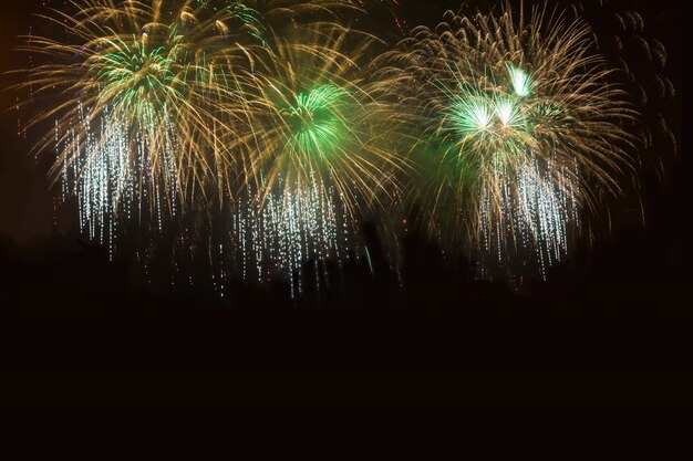 Golden and green fireworks over night sky