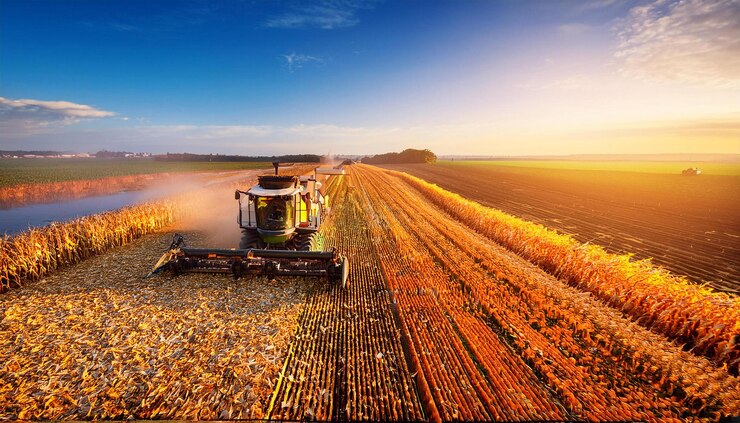 Photo golden harvest a combine harvester in a sunlit cornfield