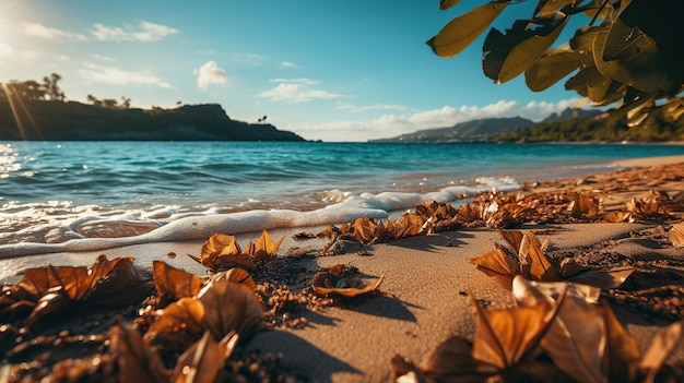 Photo golden hour at a serene beach