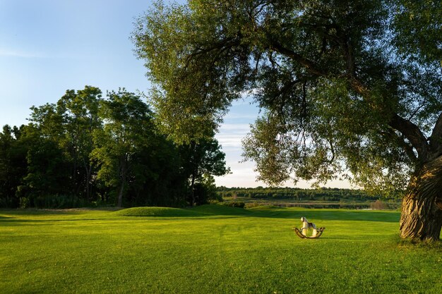 Golden light is seen streaming in early summer Under the big willow there is children's swing horse