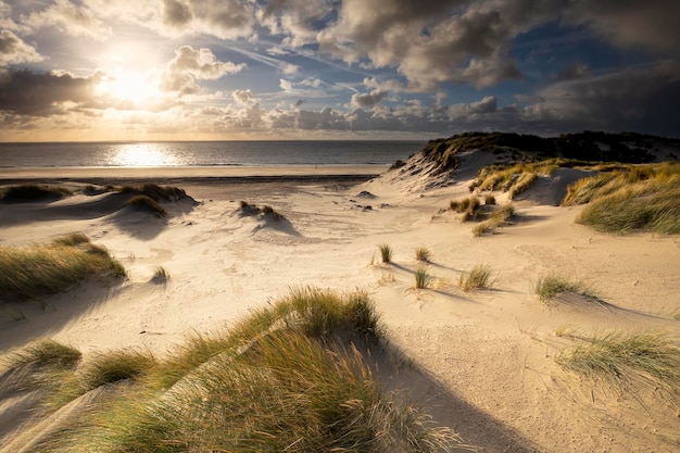 golden light over sand dunes at sea