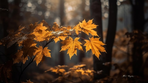 Golden Maple Trees in a Misty Forest