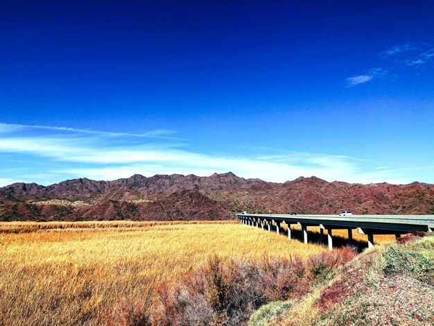 Golden marsh bird preserve