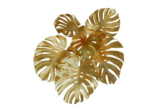 золотой монстера листья тропических растений куст цветочная композиция в помещении сад природа фон