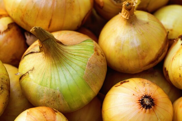 Golden onion close up