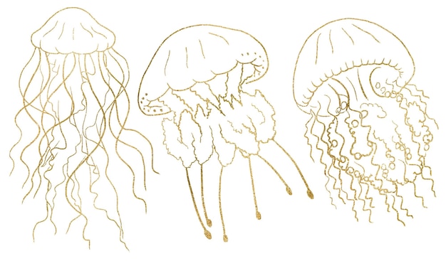 Фото Золотые очертания медуз изолированный элемент для морской свадьбы иллюстрация