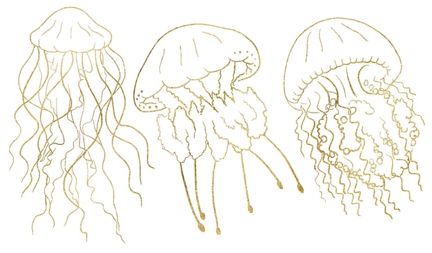 Golden outlines jellyfishes isolated element for nautical sea wedding Illustration