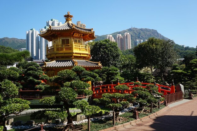 Foto pagoda d'oro di hong kong