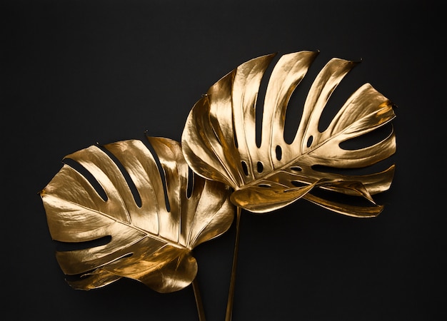 golden painted tropical monstera leaves