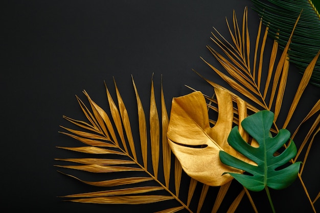 Golden palm leaf and green fresh tropical monstera leave texture frame on dark black background with copy space. Painted gold leaves forest pattern on summer nature floral background.