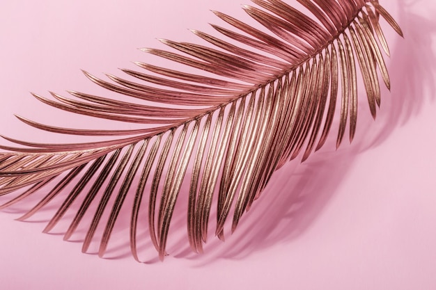 Golden palm leaf and its shadow Pastel natural background in pink colors