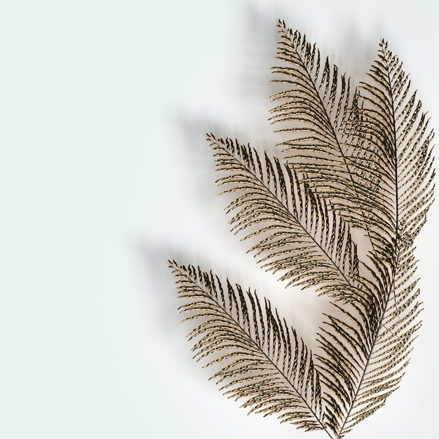 Golden palm leaves on white background