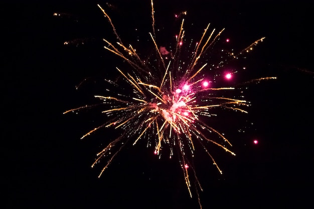 Fuochi d'artificio dorati e rosa