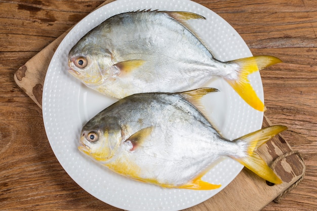 Golden pomfret fish