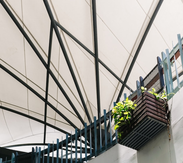 Golden pothos o devil's ivy nella decorazione del cestino in legno appeso in un edificio