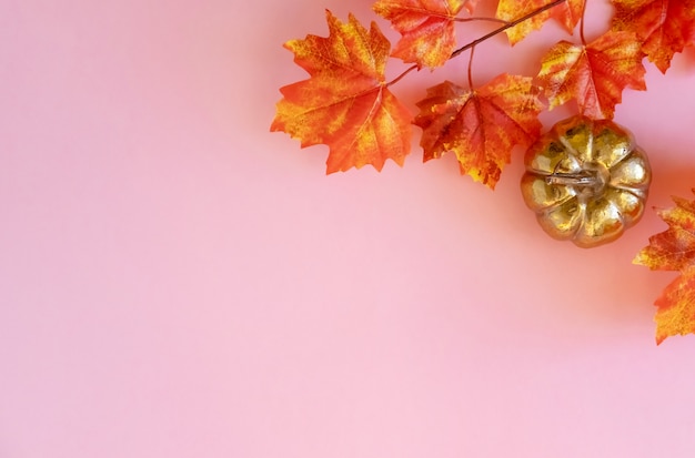 Zucca dorata con foglie di acero su sfondo rosa. flat lay.