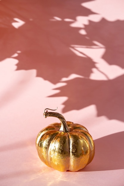 Golden pumpkin with shadow from maple leaves on a pink background.