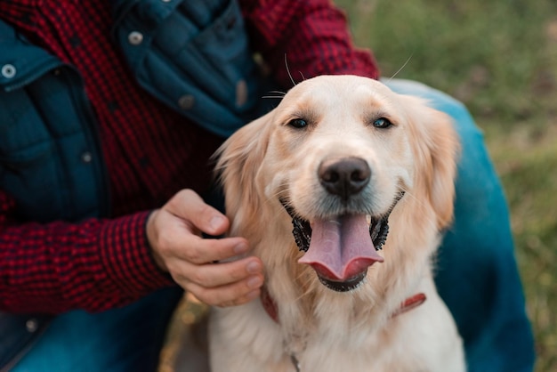 Golden retriever-hond met eigenaar op een wandeling buiten