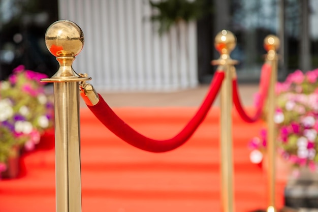 Фото Золотой веревочный барьер с красным ковром