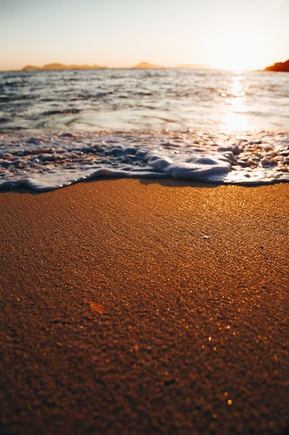 해변에서 황금빛 모래