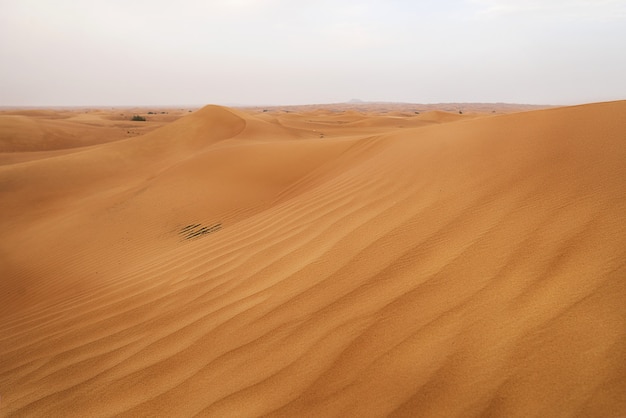 Golden sand in desert in sunset nature background