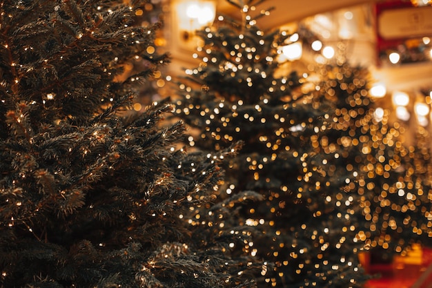 Golden shining magical Christmas trees decorated with festive garlands bokeh lights Magic interior