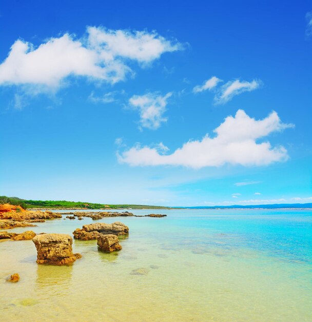 Golden shore in Alghero Italy