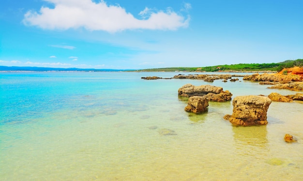 Golden shore in Alghero Italy