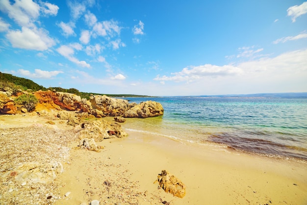 Golden shore in Sardinia Italy