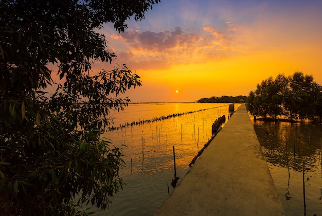 Golden sky above the river in the sea Woodden bridge at sunset in Laem Phak Bia