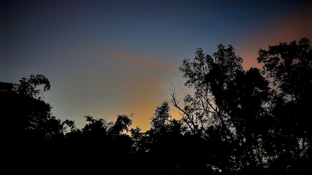 暗い森の上に雲がかかる金色の空が夕日に染まる