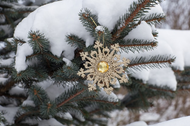 Golden snowflake hanged on a spruce branch