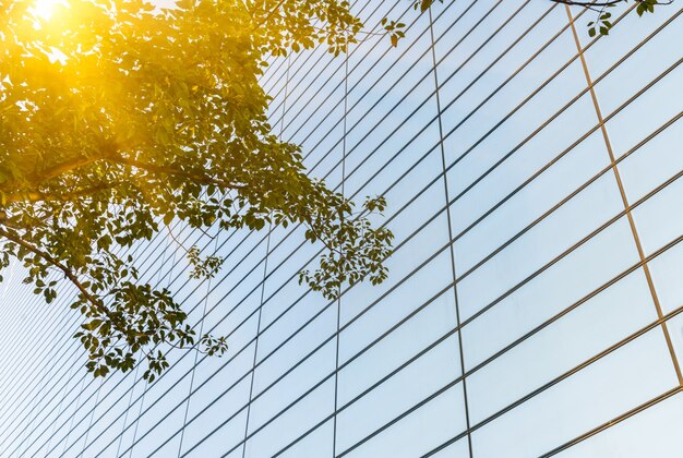 The golden sun shines on the glass of the modern building wall