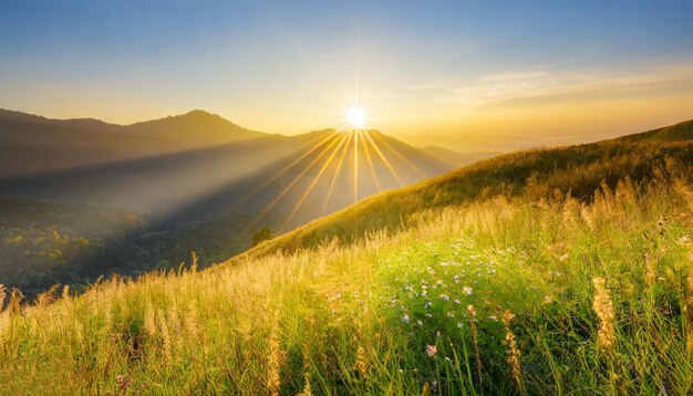 Golden sunrise over mountain meadow refreshing landscape with sunrays
