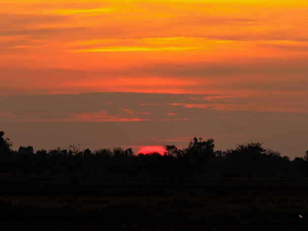 Golden sunrise sky.