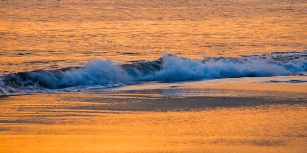 Golden sunset of Shonan Kaigan view of serene waves