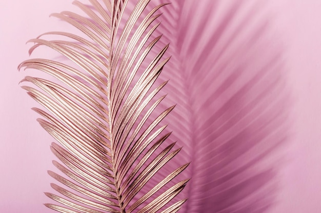 Golden tropical leaf casts a shadow on pink background Creative copyspace