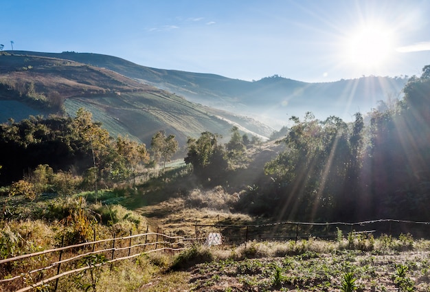 Foto valle dorata