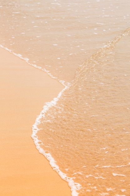 海の黄金の湿った砂