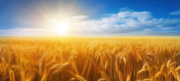日の出の穏やかなミニマリストの風景パノラマの青い空の下の金色の小麦畑生成AIのリアルなイラスト