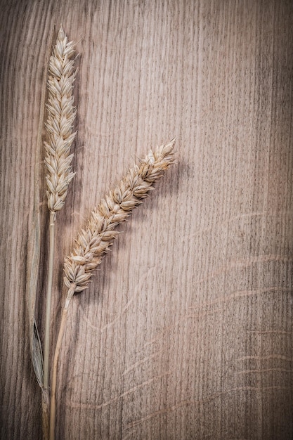 Golden wheat rye ears on wooden board top view