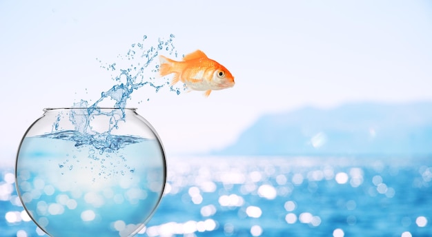 Goldfish leaps out of the aquarium to throw itself into the sea