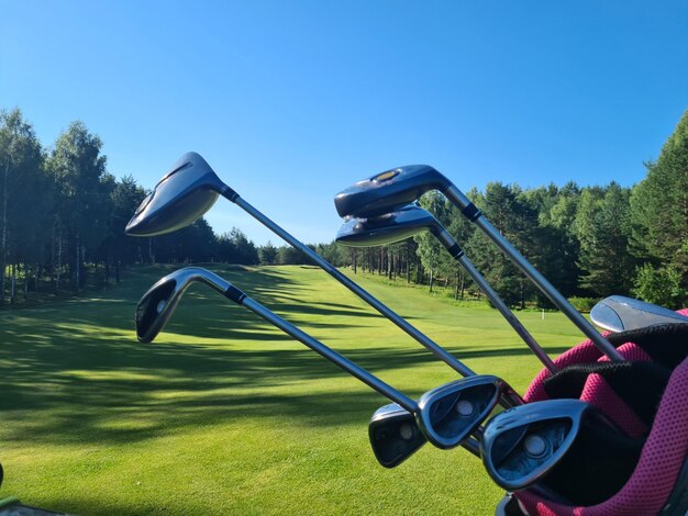 Golf bag for training and playing golf on background of golf\
course