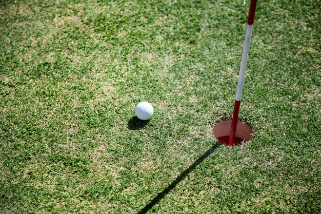 Golf ball close to hole on green grass field.