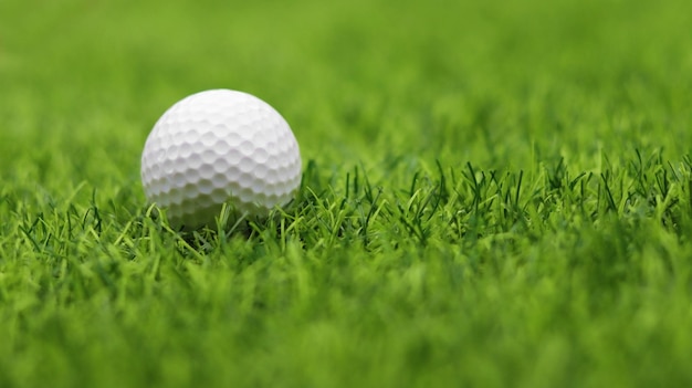 Golf ball close up on tee grass on blurred beautiful landscape\
of golf background concept international sport that rely on\
precision skills for health relaxation